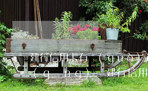 建行信用卡有過(guò)逾期能重新申請(qǐng)嗎(建行信用卡有過(guò)逾期能重新申請(qǐng)嗎)