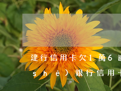 建行信用卡欠1萬6逾期被起訴-欠建設(shè)銀行信用卡10000錢起訴會不會坐牢