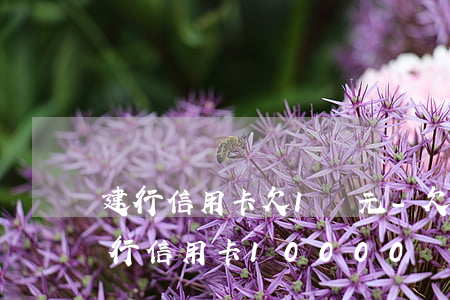 建行信用卡欠1萬元-欠建設(shè)銀行信用卡10000錢起訴會不會坐牢
