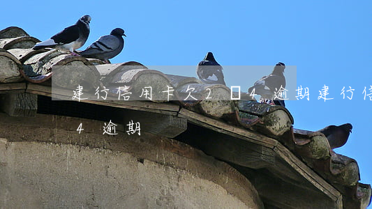 建行信用卡欠2萬4逾期(建行信用卡欠2萬4逾期)