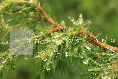 建行信用卡欠2萬分期(建行信用卡2萬分期12個月利息)