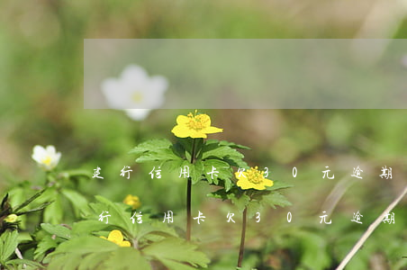 建行信用卡欠30元逾期一個(gè)月(建行信用卡欠30元逾期一個(gè)月會(huì)怎樣)