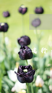 建行信用卡欠3個月(建設銀行逾期三個月全額還款還能解凍嗎)