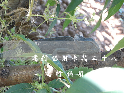 建行信用卡欠三千八會(huì)被起訴嗎-建行信用卡欠三千八會(huì)被起訴嗎知乎