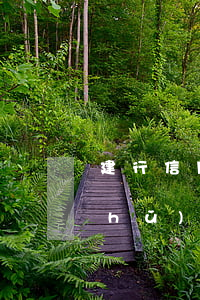 建行信用卡欠了錢(qián)能辦儲(chǔ)蓄卡嗎-