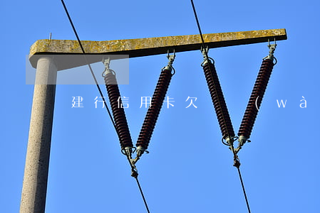 建行信用卡欠兩萬(wàn)逾期三年