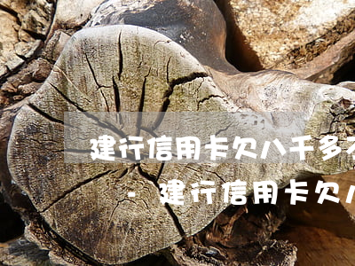 建行信用卡欠八千多不還會(huì)怎么樣-建行信用卡欠八千多不還會(huì)怎么樣嗎
