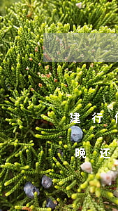 建行信用卡欠几天没还-建设银行的信用卡晚还一天算逾期吗