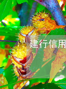 建行信用卡欠卡中(建行信用卡欠卡中)