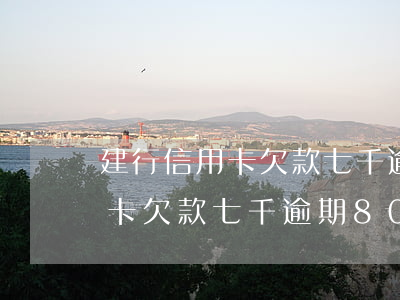 建行信用卡欠款七千逾期80天-建行信用卡欠款七千逾期80天怎么辦
