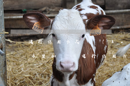 建行信用卡欠錢,會(huì)重新辦的建行卡里扣錢嗎?（建行信用卡欠1000）