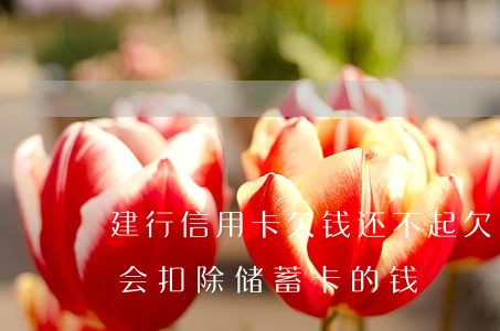 建行信用卡欠钱还不起(欠建设信用卡钱,多久会扣除储蓄卡的钱)
