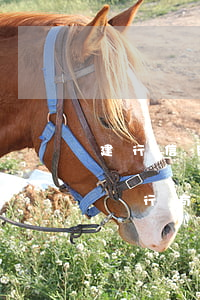 建行信用卡沒到期顯示逾期(建設(shè)銀行有一次信用卡逾期怎么辦)