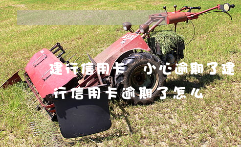 建行信用卡沒小心逾期了(建設(shè)銀行信用卡逾期了怎么辦)
