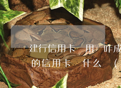 建行信用卡沒用過咋成逾期了(沒有建設銀行的信用卡為什么發(fā)短信說逾期了)