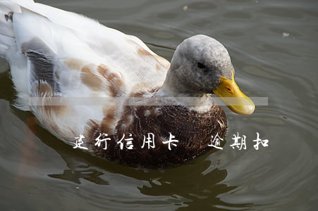 建行信用卡沒逾期扣違約金(建行 信用卡 逾期)