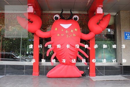 建行信用卡没有逾期被冻结(建行信用卡没有逾期被冻结,能申请分期吗)