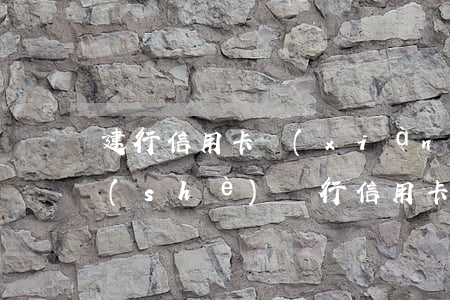 建行信用卡現(xiàn)金透支額度(建設(shè)銀行信用卡透支額度)