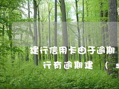 建行信用卡由于逾期凍結(jié)了(其他銀行有逾期建設(shè)信用卡被凍結(jié))