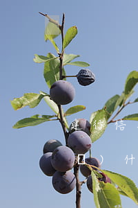 建行信用卡發(fā)信息惡意透支(發(fā)什么信用卡貸惡意透支什么鬼)