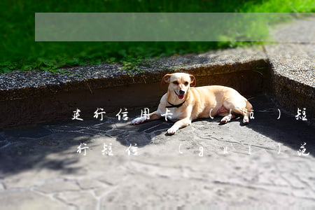 建行信用卡發(fā)短信說逾期了(收到建行短信 規(guī)范用卡)