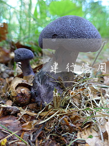 建行信用卡能協(xié)商么(欠中國(guó)建設(shè)銀行信用卡的錢如何協(xié)商解決)