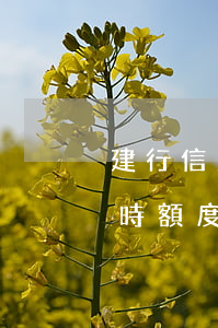 建行信用卡臨時額度逾期一日(建行信用卡臨時額度逾期一日怎么辦)