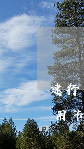 建行信用卡處于逾期狀態(tài)(建行信用卡逾期半年起訴)