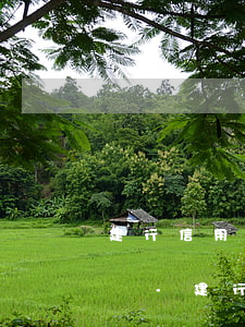 建行信用卡被風(fēng)控還不上怎么辦-建行信用卡被風(fēng)控還不上怎么辦
