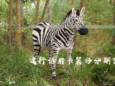 建行信用卡装修分期贷怎么还款-