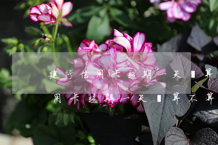 建行信用卡超期一天還算不算逾期-建行信用卡超期一天還算不算逾期了