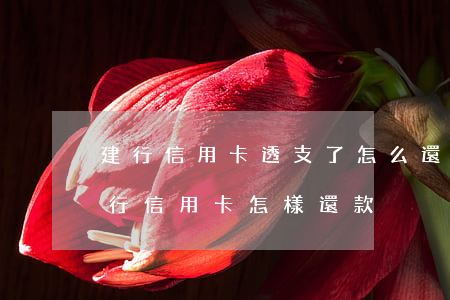 建行信用卡透支了怎么還(建設(shè)銀行信用卡怎樣還款)