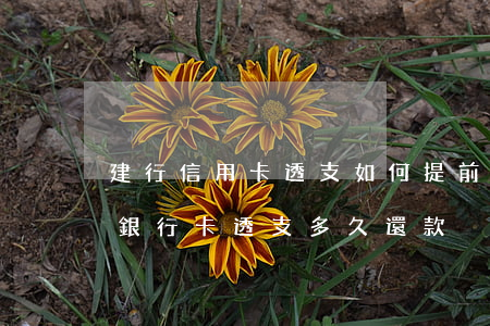 建行信用卡透支如何提前還(建設(shè)銀行卡透支多久還款)