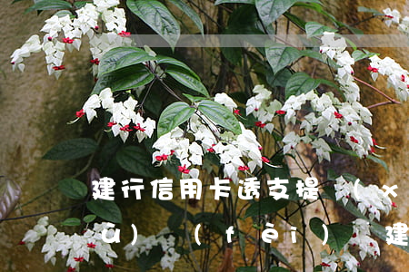 建行信用卡透支提現(xiàn)手續(xù)費(fèi)(從建行信用卡取現(xiàn)金要手續(xù)費(fèi)嗎)