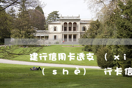 建行信用卡透支現(xiàn)金的利率(建設(shè)銀行卡信用卡利息)