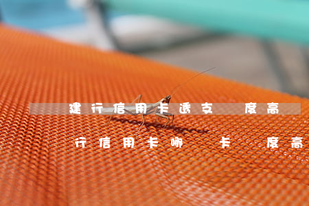 建行信用卡透支額度高嗎(建設(shè)銀行信用卡哪個卡額度高)