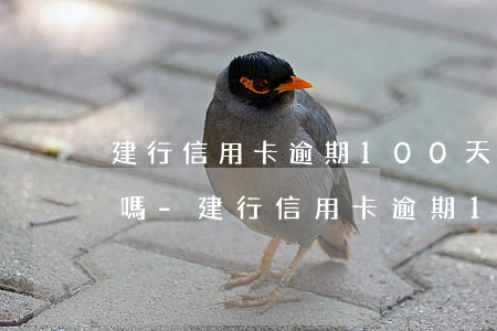 建行信用卡逾期100天會(huì)起訴嗎-建行信用卡逾期100天會(huì)起訴嗎知乎