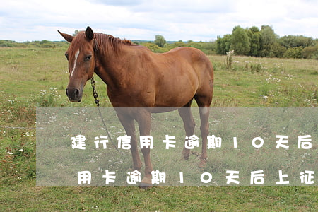 建行信用卡逾期10天后上征信嗎-建行信用卡逾期10天后上征信嗎有影響嗎
