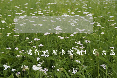 建行信用卡逾期10天怎么辦理