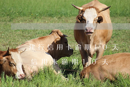 建行信用卡逾期10天記錄如何消除-建行信用卡逾期10天記錄如何消除掉