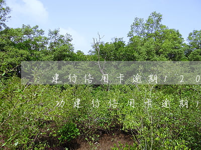 建行信用卡逾期12000多久會被起訴成功，建行信用卡逾期12000天數(shù)與被起訴成功率的關(guān)系