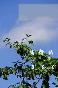 建行信用卡逾期1300(建行信用卡逾期13000每個月要扣500多嗎)