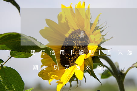 建行信用卡逾期15天怎么辦 建行信用卡逾期15天怎么辦