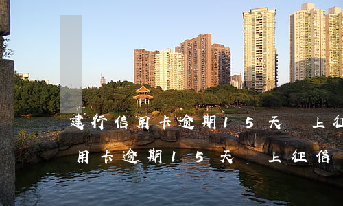 建行信用卡逾期15天會上征信嗎-建行信用卡逾期15天會上征信嗎怎么辦