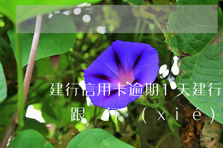 建行信用卡逾期1天 建行信用卡逾期1天怎樣跟銀行協(xié)商還款