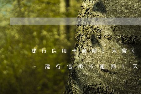 建行信用卡逾期1天會(huì)上征信嗎-建行信用卡逾期1天會(huì)上征信嗎怎么辦