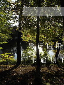 建行信用卡逾期1天有沒有影響-建行信用卡逾期1天有沒有影響征信