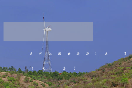 建行信用卡逾期1天還了(建行信用卡逾期15天還清了)