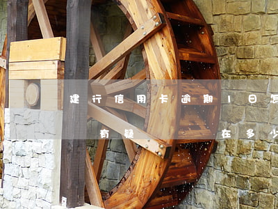 建行信用卡逾期1日怎么算(建行對信用卡賬單有疑問應該在多少天之內)