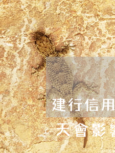 建行信用卡逾期20天(建行信用卡逾期20天會影響誠信嗎)